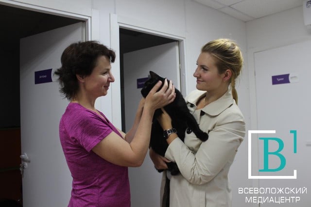 В садоводстве «Дунай» открыли клинику для животных за 7,6 млн рублей