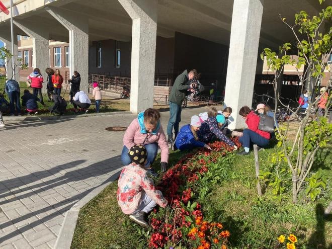 Добровольцы высадили 100 кустарников рядом со школой в городе Мурино