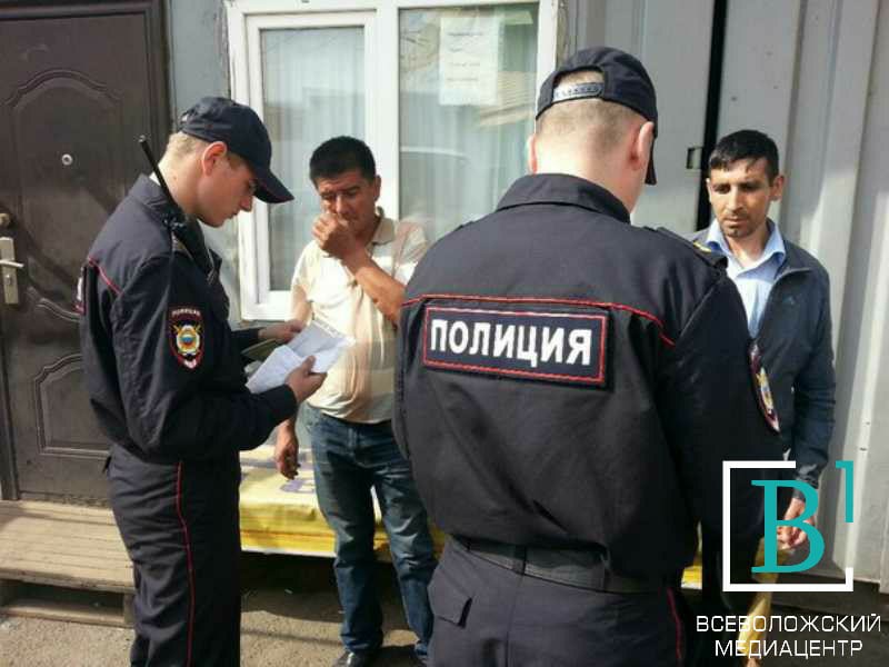 Более половины проверенных полицией мигрантов во Всеволожском районе работали незаконно