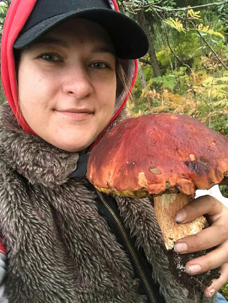 Во Всеволожском районе нашли гриб-«рекордсмен»