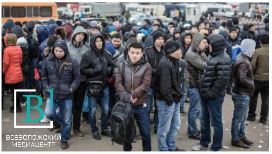 Число мигрантов в России в 2021 году может увеличиться на 398 тысяч человек