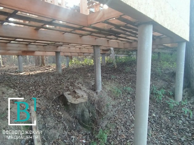 Тайный коттеджный посёлок нашли в лесу Свердловского поселения