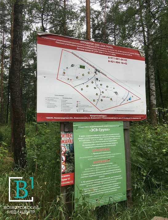 Тайный коттеджный посёлок нашли в лесу Свердловского поселения