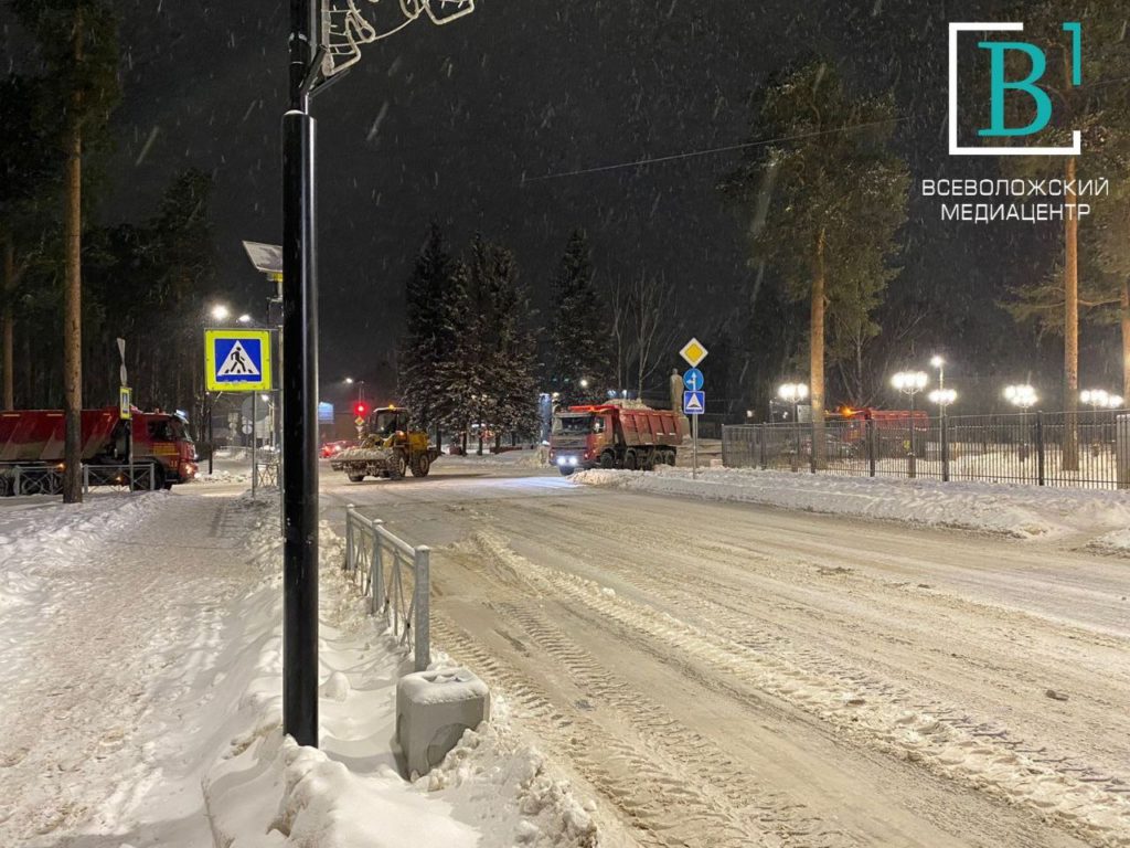 Всеволожские власти вывели на улицы всю имеющуюся снегоуборочную технику