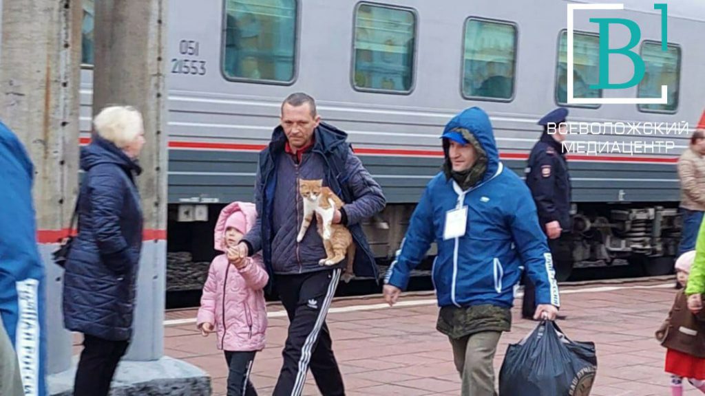 Ленобласть приняла более 600 беженцев с Украины. Они приехали с животными