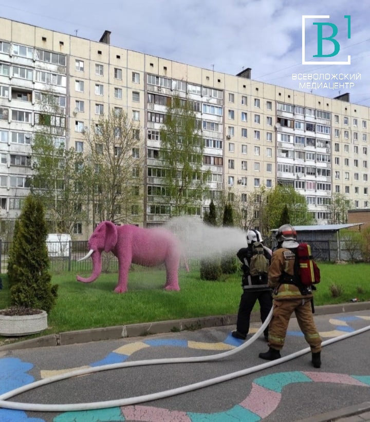 Сертоловские пожарные спасли школьников от очень опасного розового слона. А теперь серьёзно