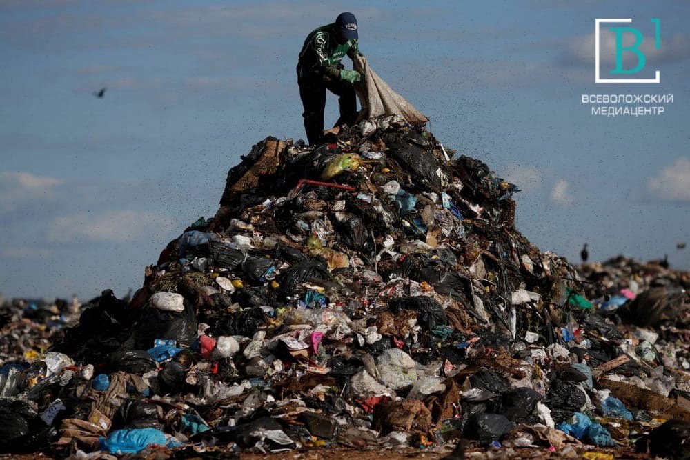 Угрожающую мусорную гору на границе Заневки отберут у владельца и снесут
