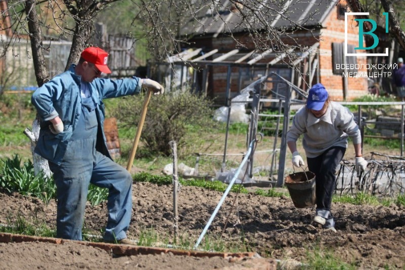 Всеволожских садоводов и дачников ждут новые штрафы: костры, куры и дома