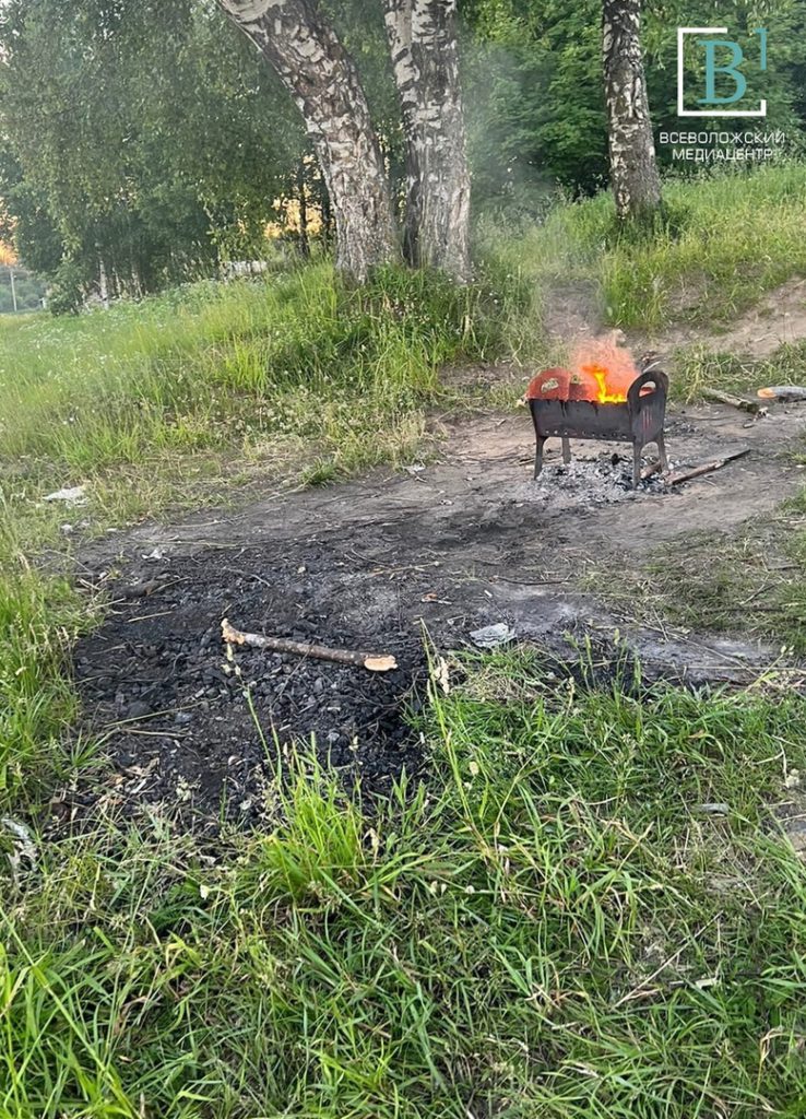 После нас хоть пожар: любители шашлыка из Колтушей оставили горящий мангал