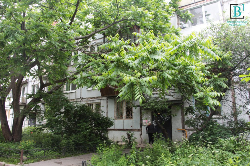 Как в Карелии: жители Петербурга сбегают в Сертолово от суеты