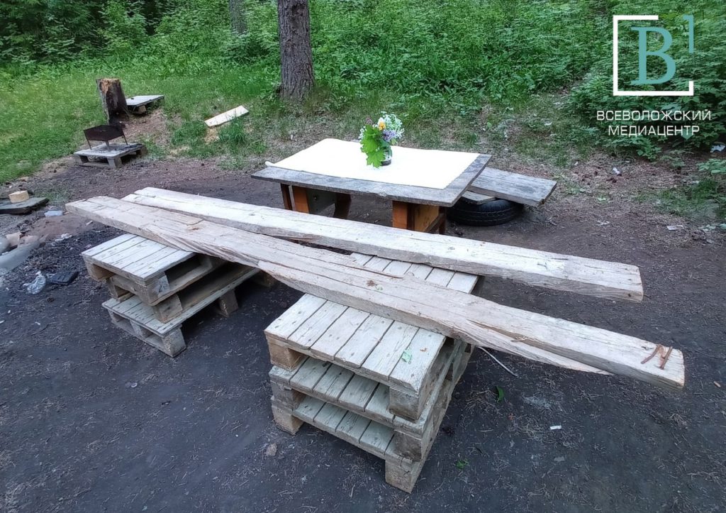 В Кузьмоловском лесу после визита туристов застали странную картину