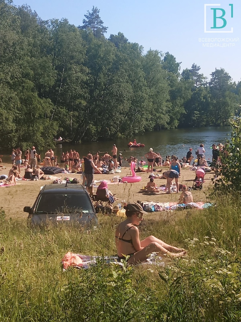 Ждановские озера во всеволожске