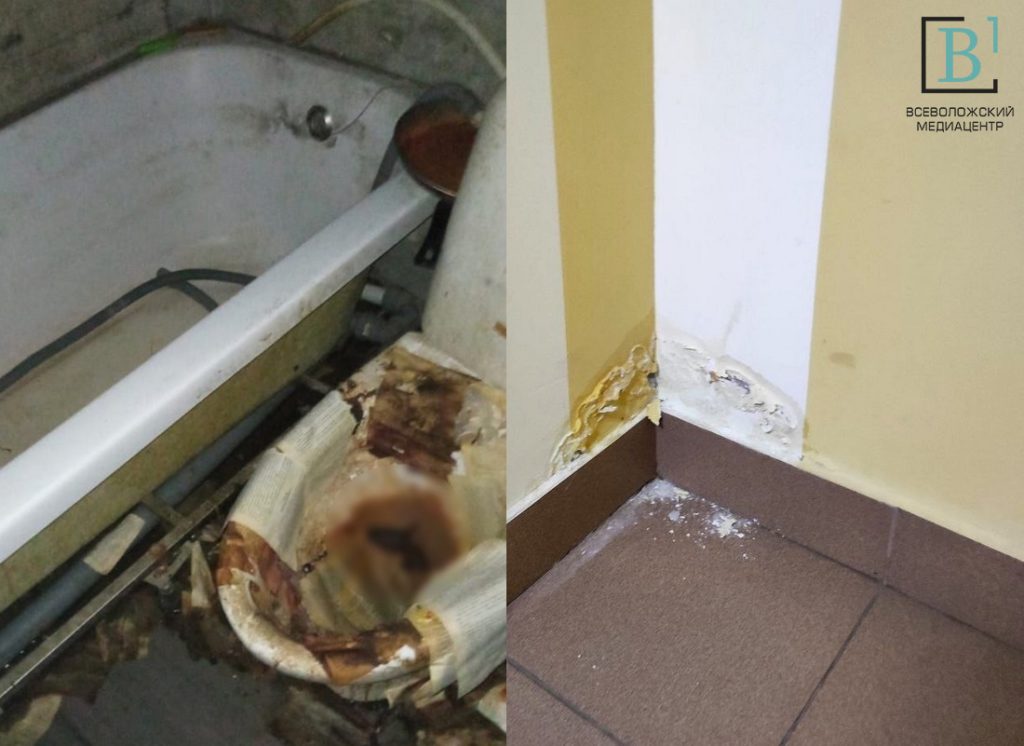 «Ароматное» соседство: муринец довёл свой туалет до разрухи, а жильцов — до истерики