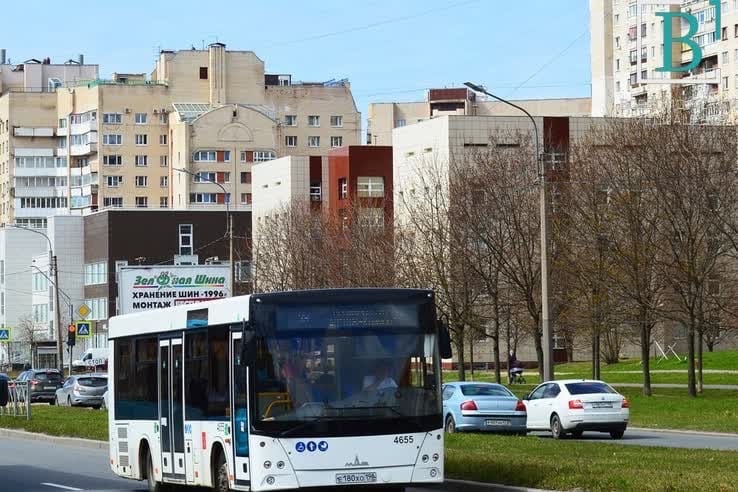 Уезжаешь с улыбкой на лице: между Петербургом и Мурином запустили новые автобусы