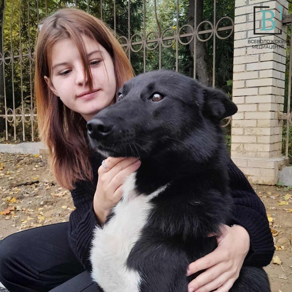 Первые шаги в карьере: школьница из Токсова зарабатывает выгулом собак