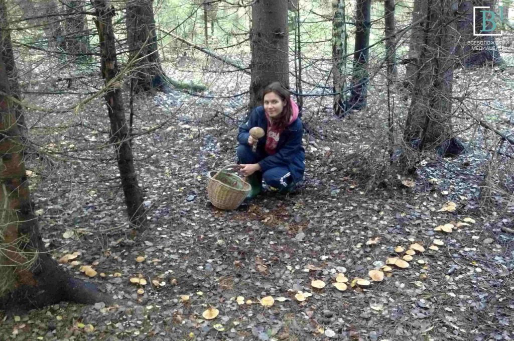 Мистика в лесу: грибники Всеволожского района наткнулись на пугающее явление