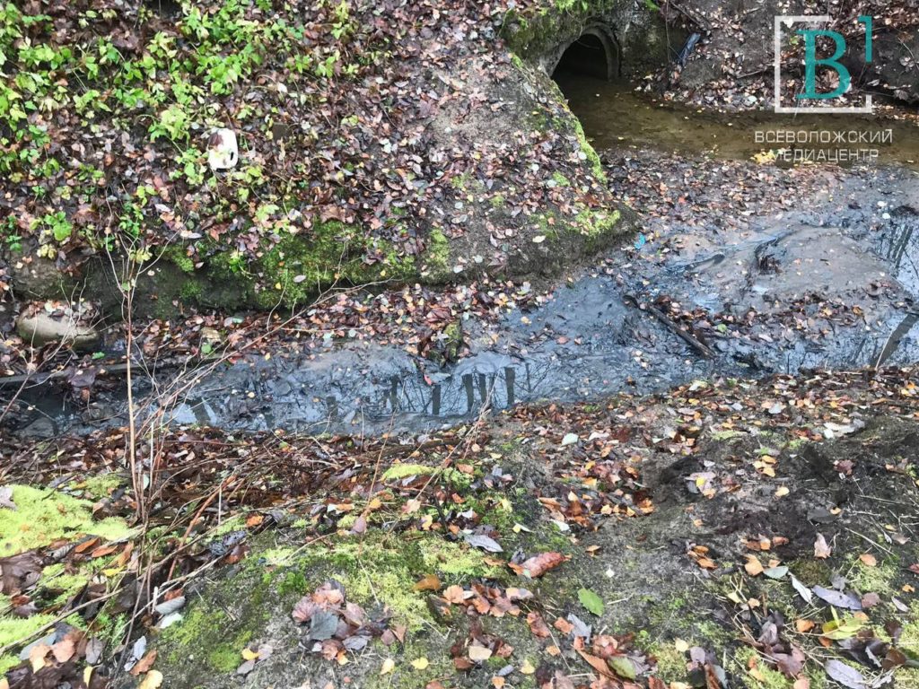 Токсовский ручей остался без канализационных стоков