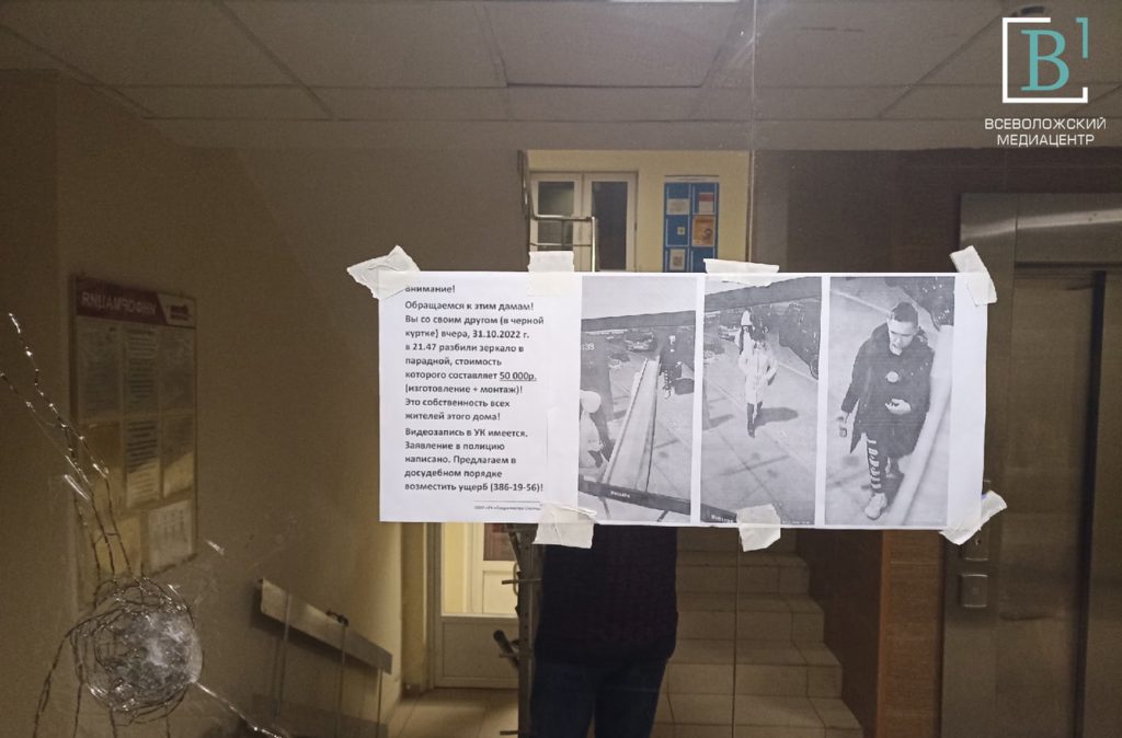 Зеркало позора: УК из Кудрова показала разрушителей парадных во всей красе