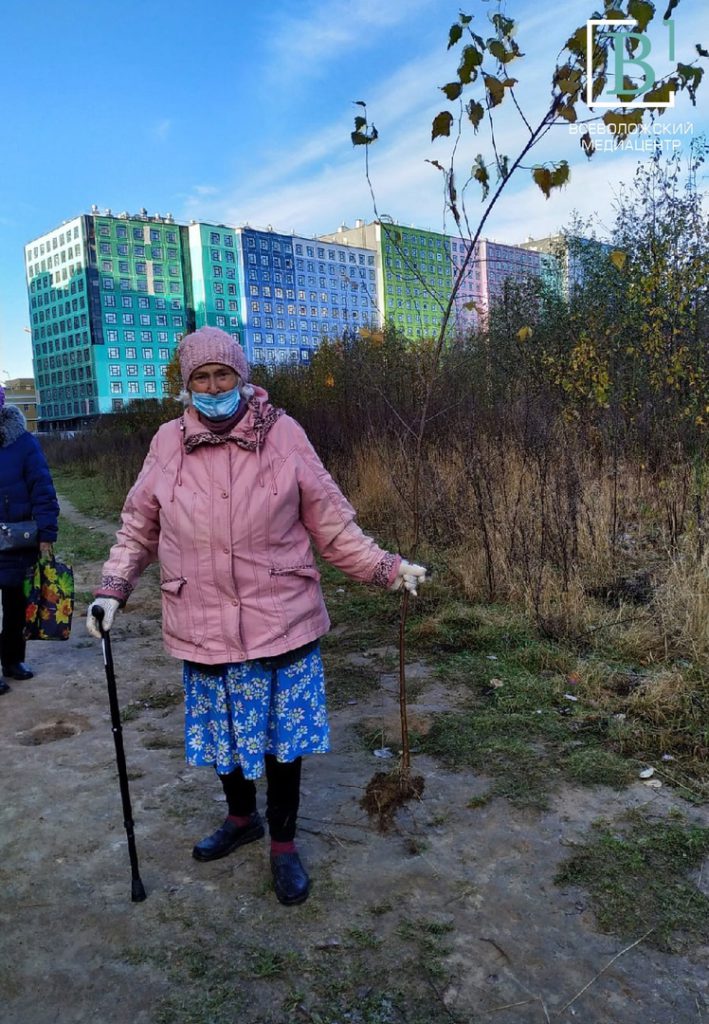 Берёзки кудрявятся в Мурине: семья пенсионеров занялась озеленением