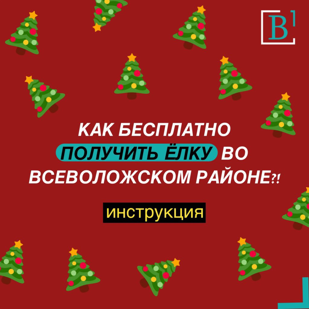 Ëлки — не палки: во Всеволожском районе началась раздача новогодних ёлок