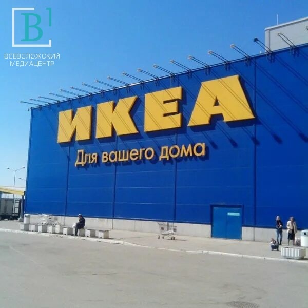 Слишком многого хотите: IKEA отказалась выполнять законные требования ленинградских работников