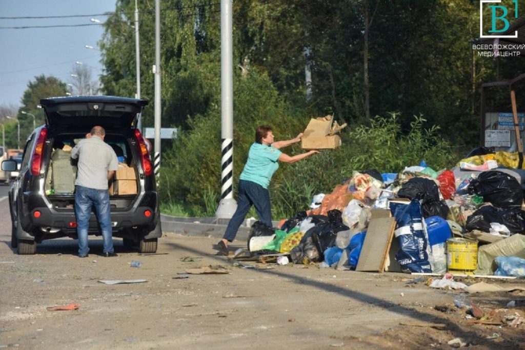 Хоп, мусорок… С 11 января за выкинутым мусором из авто начнут следить камеры