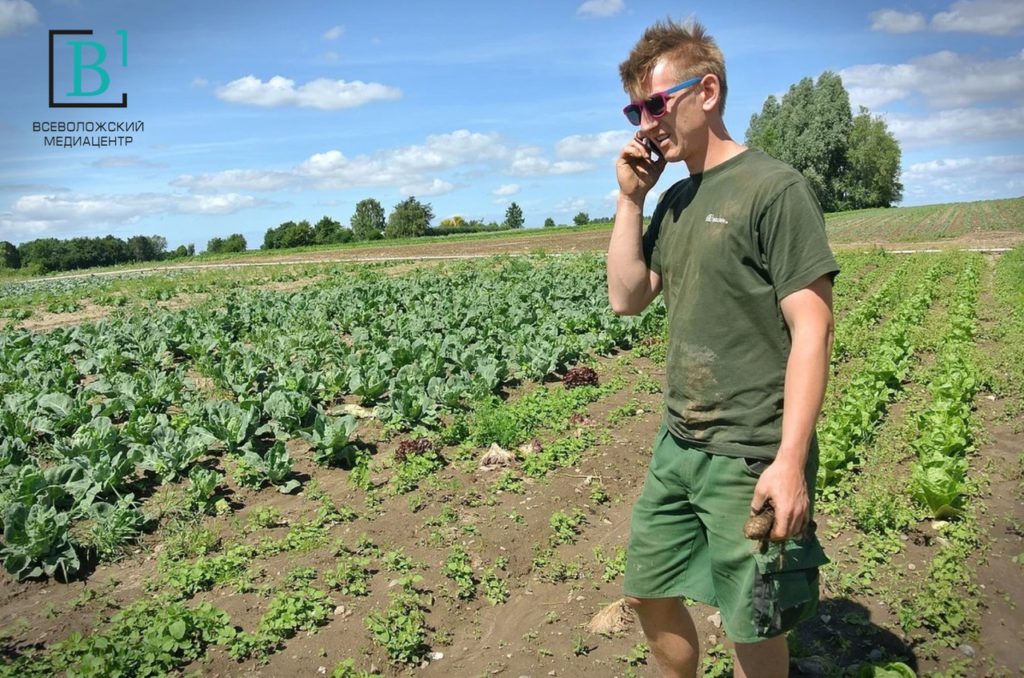 Подальше от Питера: россиян зовут стать фермерами в глубинку Ленобласти