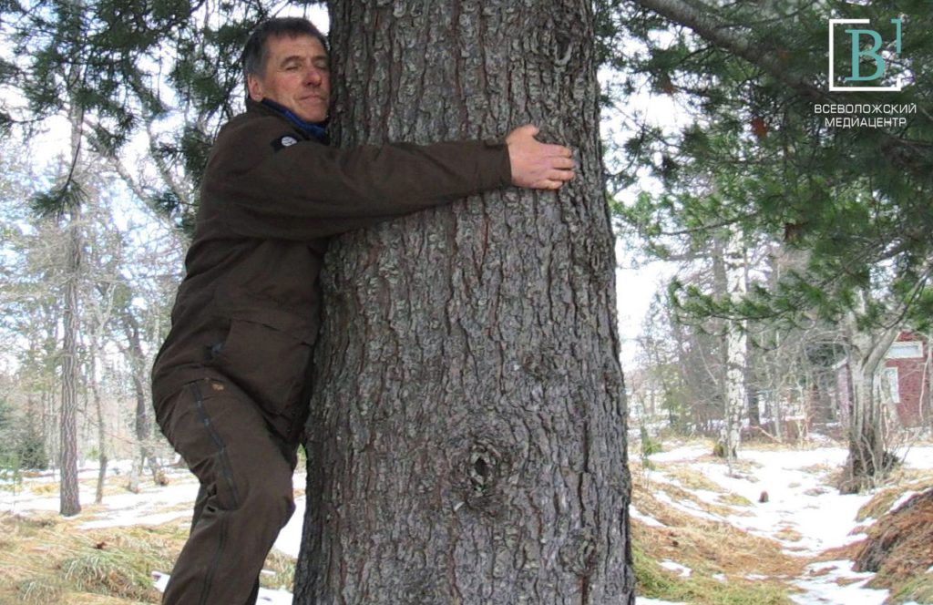 Прозрачные домики, экокластер и сила деревьев: Ленобласть претендует на туристическую премию