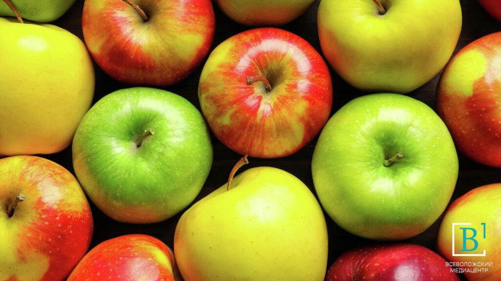 Роспотребнадзор проявил заботу и рассказал полезные советы по выбору яблок летом и зимой