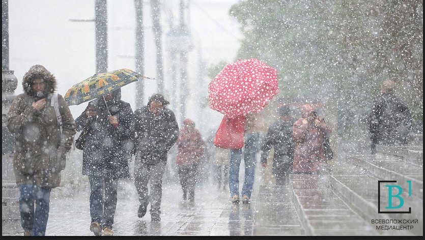 Зона дождя. Wet Snow.